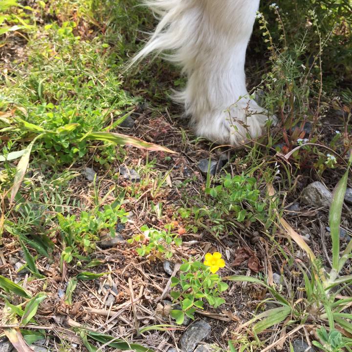 62717923 ef3d 414a 8334 7694bf8200dc 1554614186919