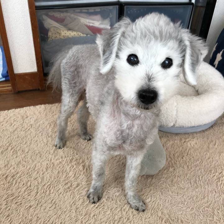 62719d0e edfb 43e1 8d82 3f584e11d72a 1589503221587