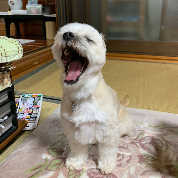 6271f356 b098 4545 a17c dd227ec8ee36 1582099974203