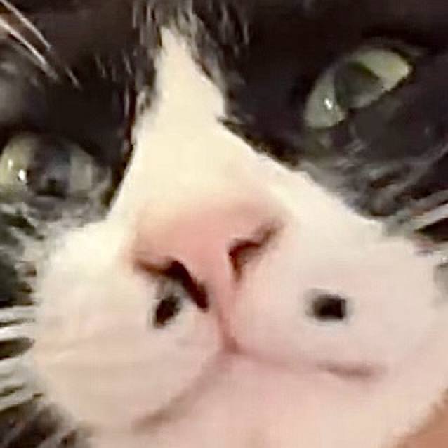 62722808 b7b5 45aa 9391 900c292fc648 1731211092337