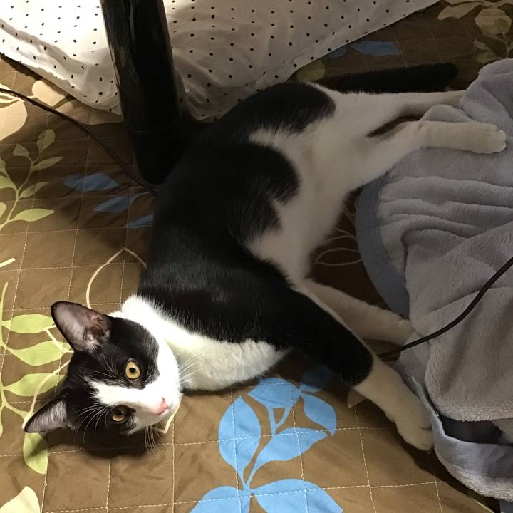 6272314d 58ac 4136 83b3 773a6e73a8f4 1633071733732