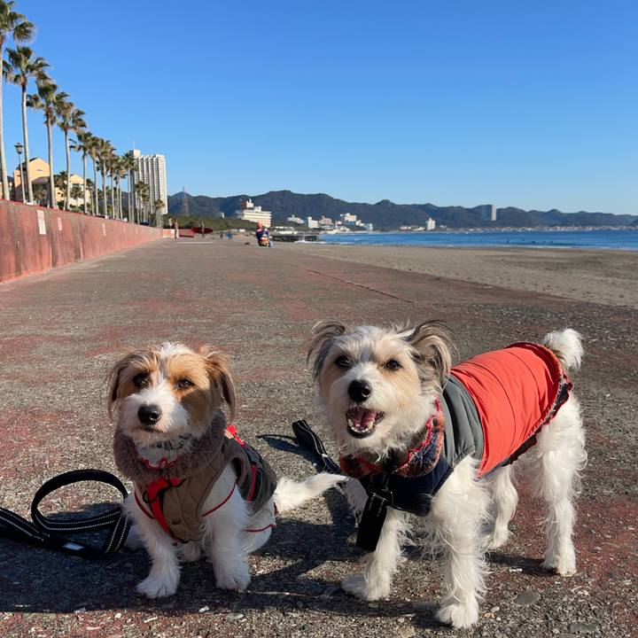 6272a7d4 d67f 4a92 92f3 e453f1936d97 1766922793414