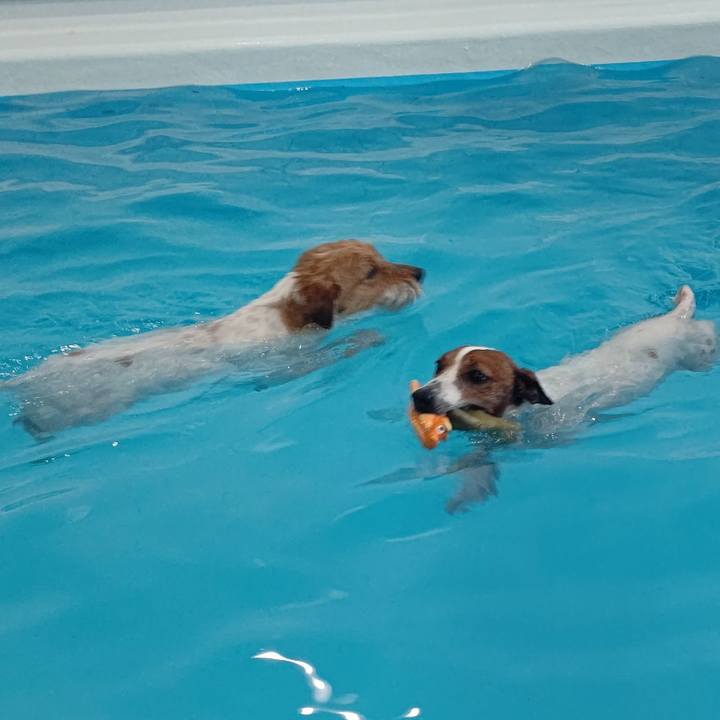 6272ac38 0441 47d3 8f47 235ab99d3e49 1714996168624