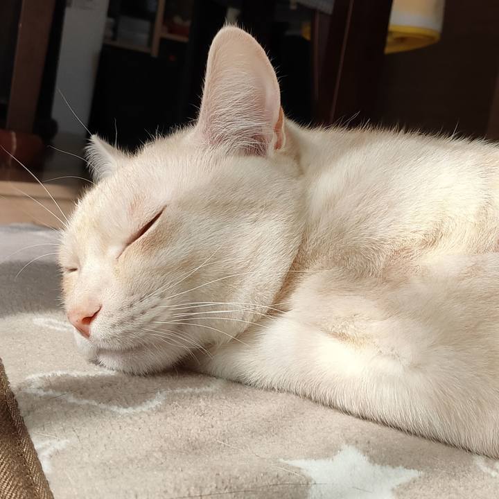 6272c266 8d32 4833 84f7 bf218d19b115 1679360813965