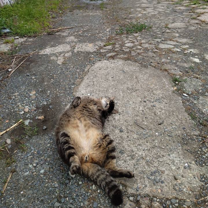 6272df42 d76a 4b51 99d2 91bdc0697833 1687935984476