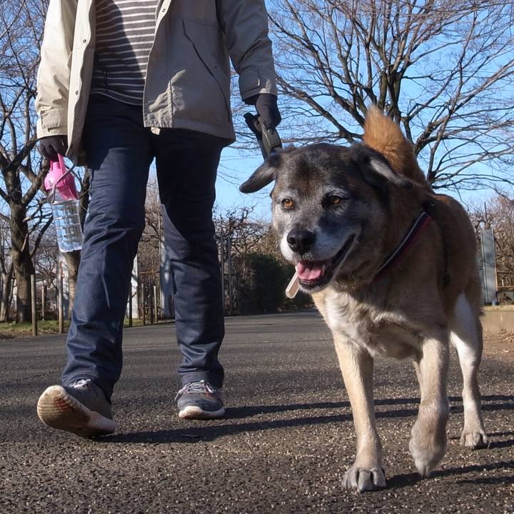 6272f495 618d 48d0 9d24 054dc7807fa1 1596364277107