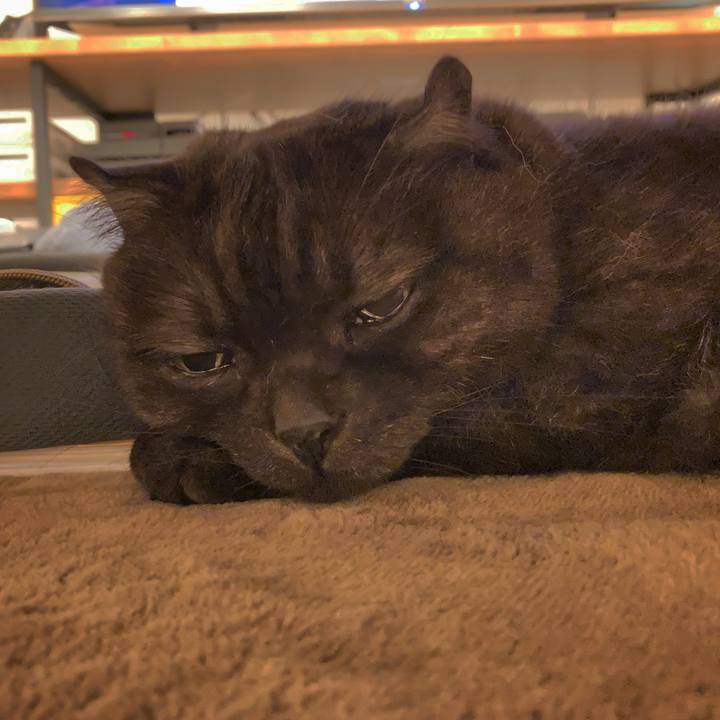 6273332b 6f7e 470f b4be 6a6a16f4ff05 1605540481110