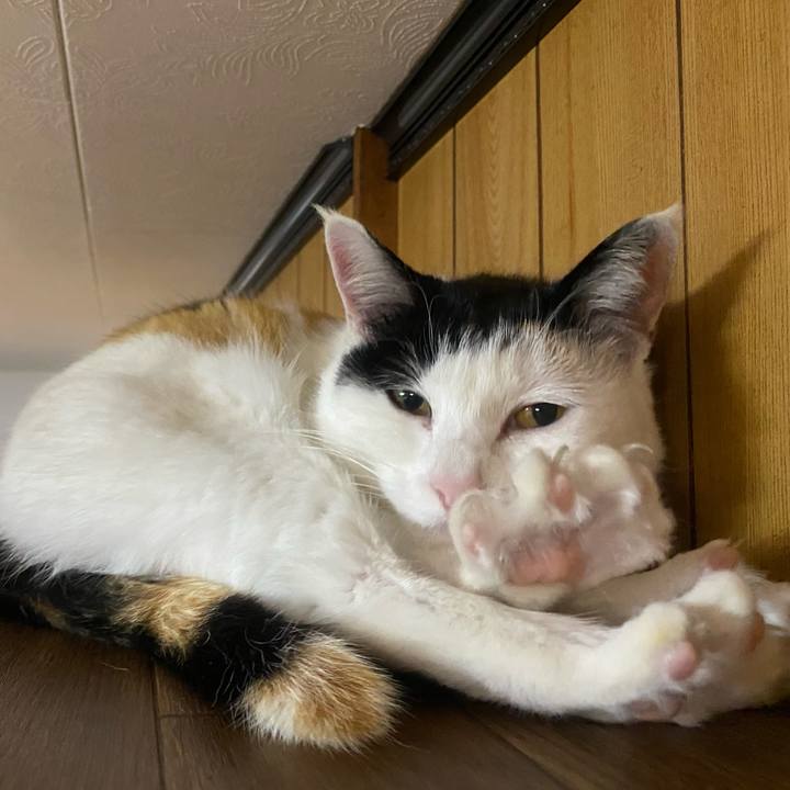 627343a8 bd0b 40c3 ac13 135832ac5a09 1647034455534