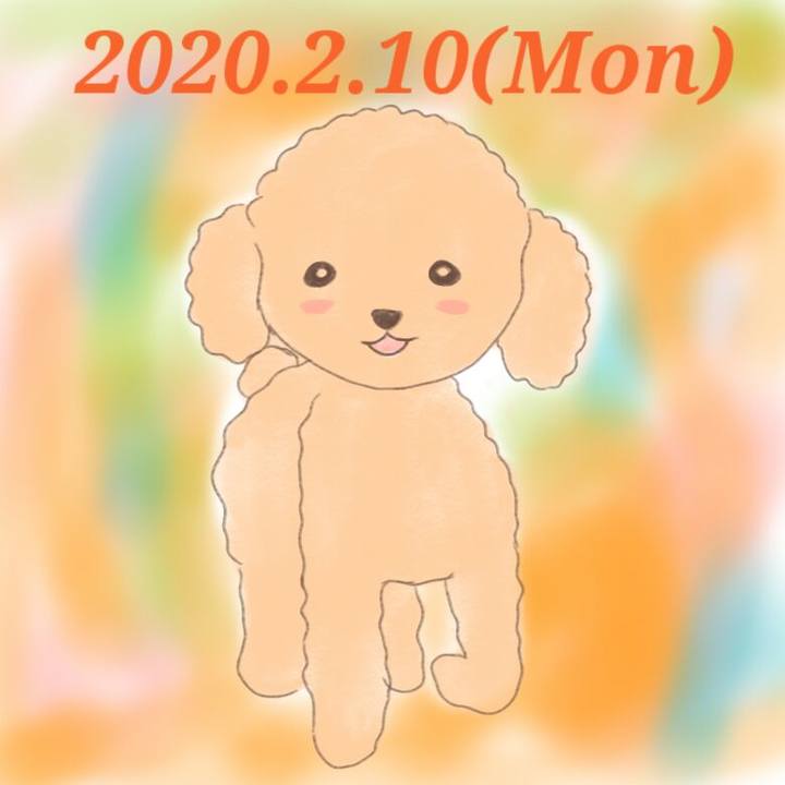 62735184 4034 41db 92ce 61db4ff70b26 1581337497592