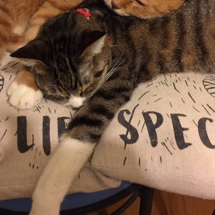 627362d2 7a81 4628 bebf bec36297ab36 1547271951936