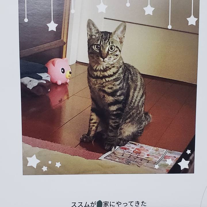 6273771e 497d 412d a92a 1fea2a20f750 1542706788161