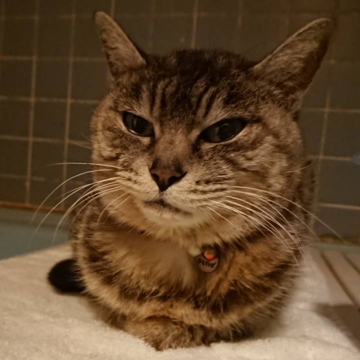 627380b1 b447 46b6 9c7a ae7ee073979a 1584524643855