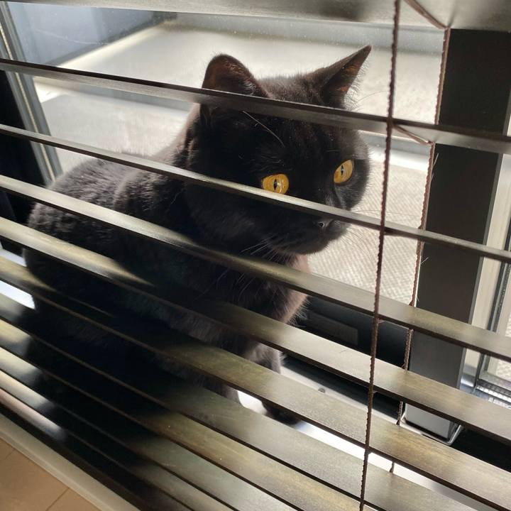 627381e4 e8ef 4aaa 9a45 36661820e713 1616043141466