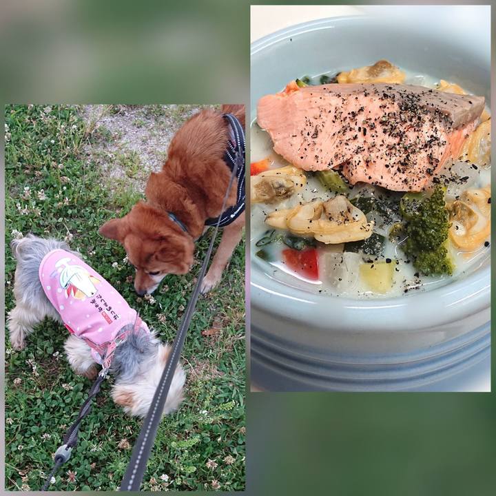 6273857a 79b0 4f42 925c 99c3da4b374f 1623500419830