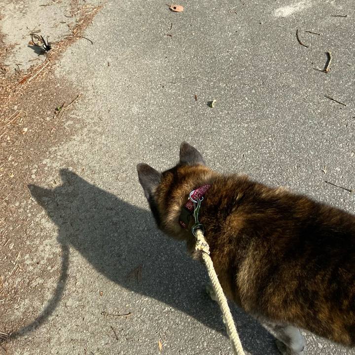 6273909c 7a22 48e6 a652 1fa817a5361c 1653865722265