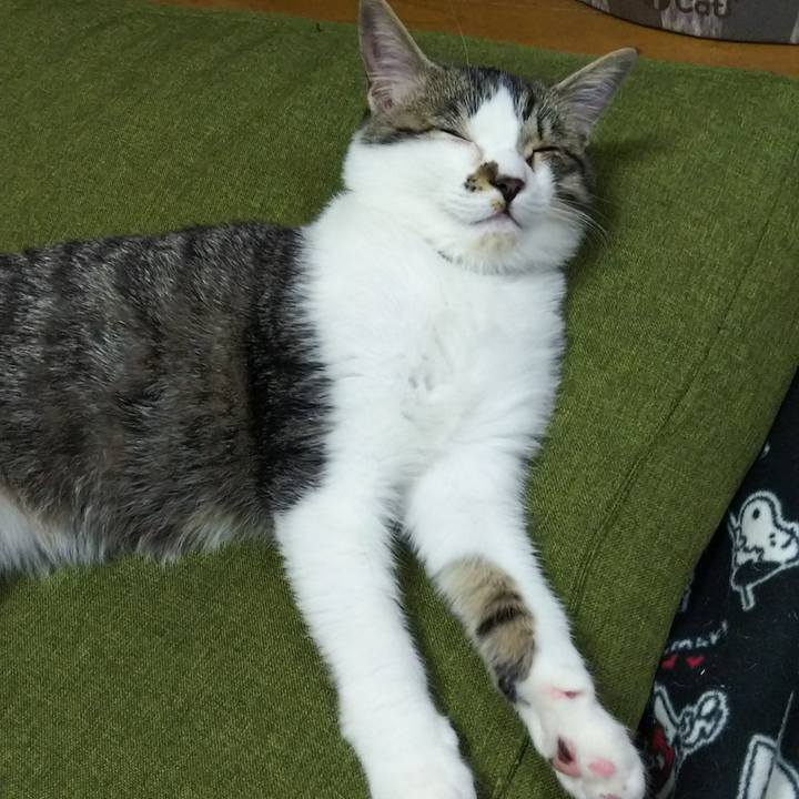 62739b1c 131a 4317 9f86 8ce9671cd9e0 1613912620260