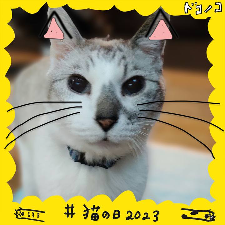 6273a31a f04b 4549 a0d6 8171b799fadf 1677066311423