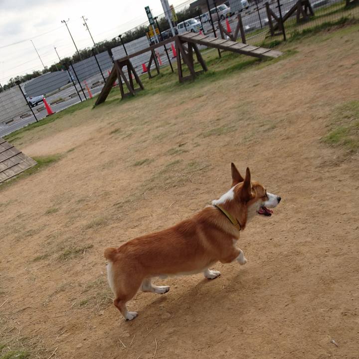 6273fa34 94d8 49db bc29 abb2f9f2ef7e 1579954598639