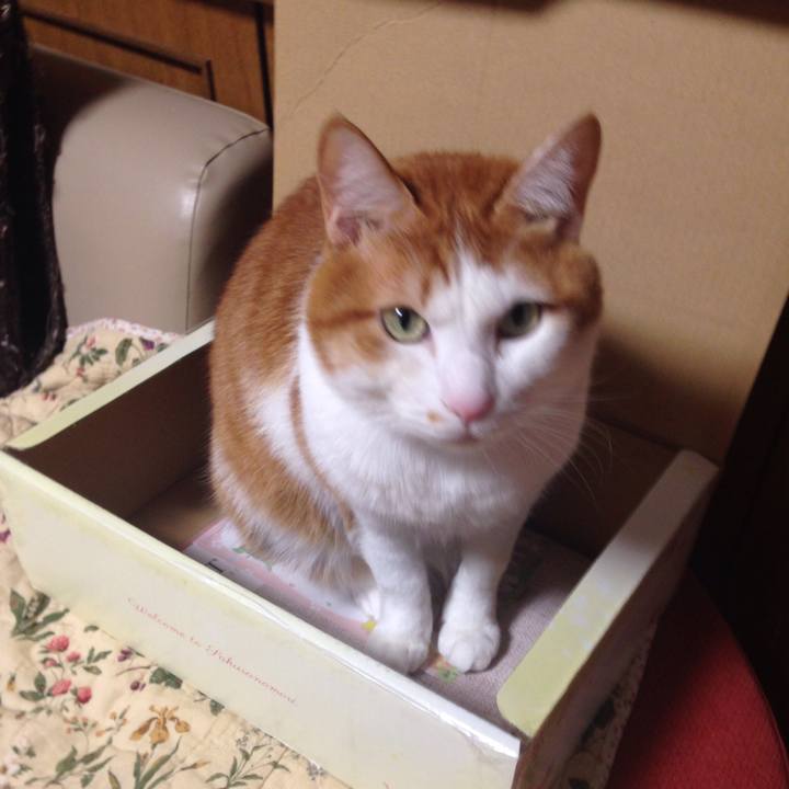 62740f51 5d12 4a80 bb51 5a1e3dc5d072 1512644508792