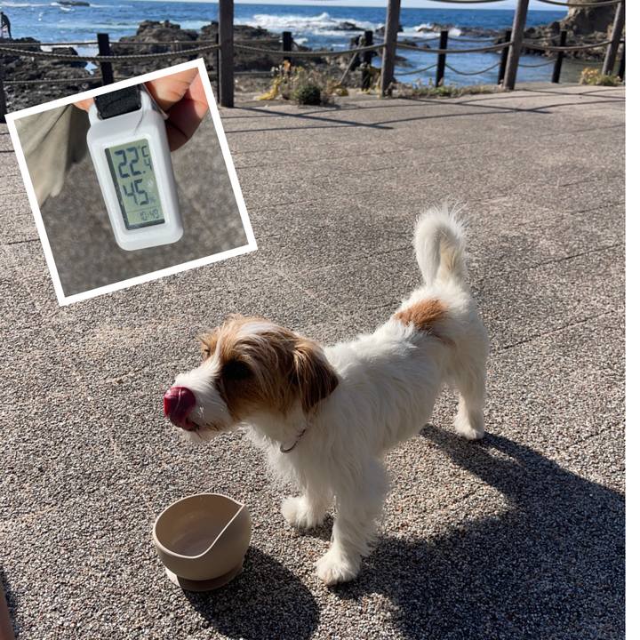 62742818 c5f1 4441 a51d 3758e381588c 1768534455314