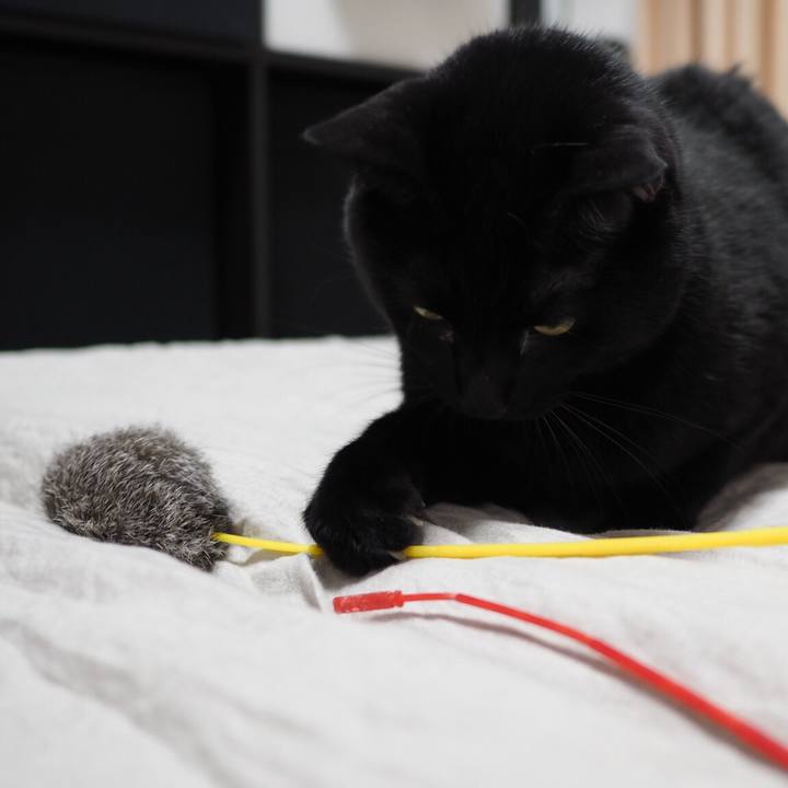 6274292c f319 43bc 8b4d 2f5223ac6df9 1543968740633