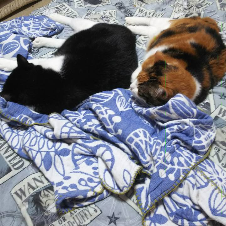 62743926 af28 46c1 8a40 0f79baae555c 1533286546498