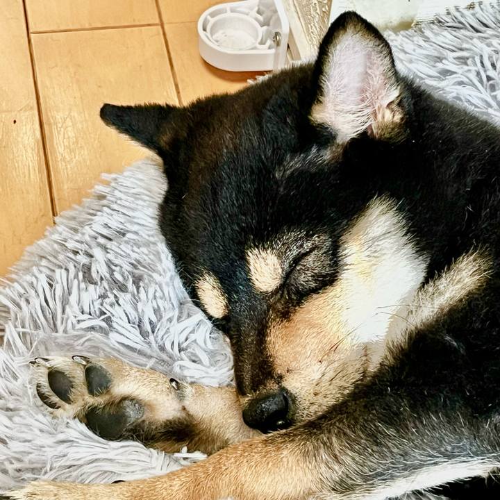 62745baa 3ec4 4a59 b9f1 dc6aabffd044 1682688174938