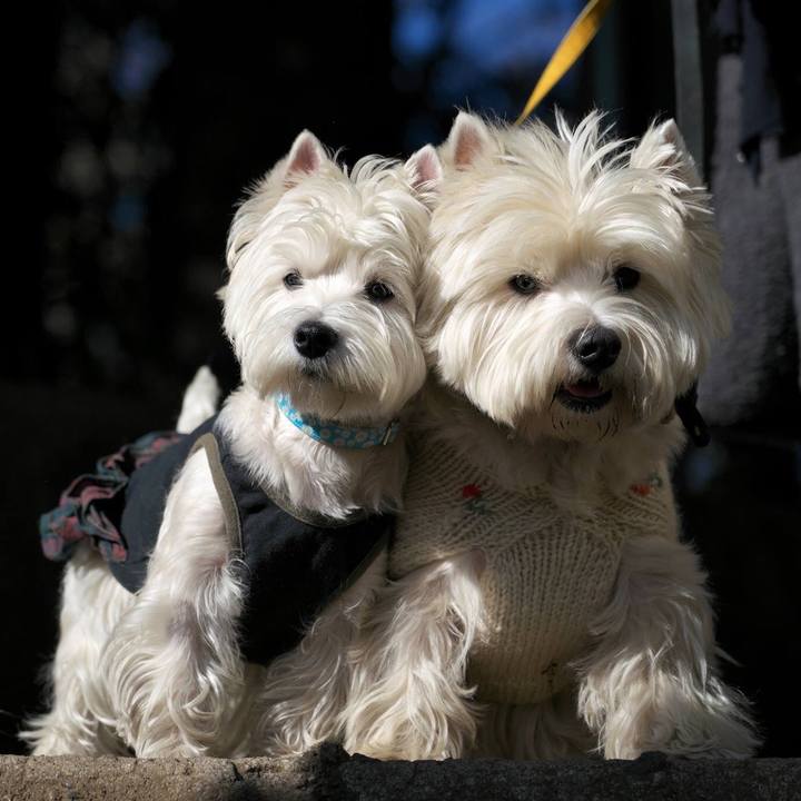 62749a43 2ed2 4172 b36d 8f48ccc145e7 1514819816596