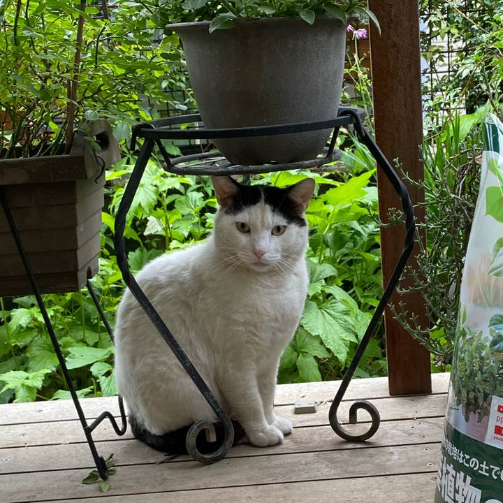 62753927 f7c7 46ed bade d5ba1493be13 1622777242850