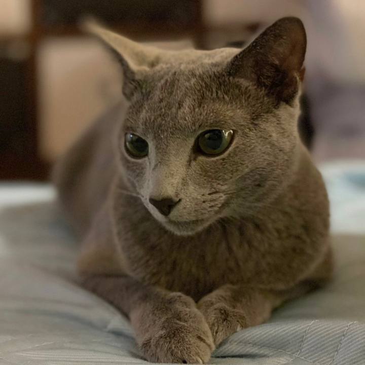 62754872 7fff 49f6 9423 a1327e0053d3 1626264762378