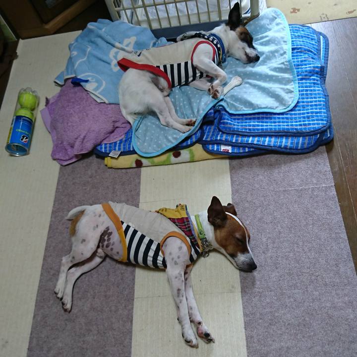 62754d26 76a1 4249 8370 129c6d9b506c 1558842927109