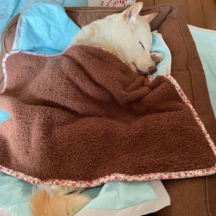 6275c6ac fbe3 433e 9247 045deda97157 1668654627705