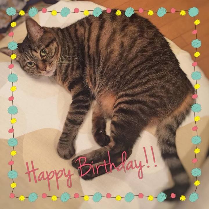 6275ced2 7dc3 41ea 9a43 fd495a750dca 1762900488614