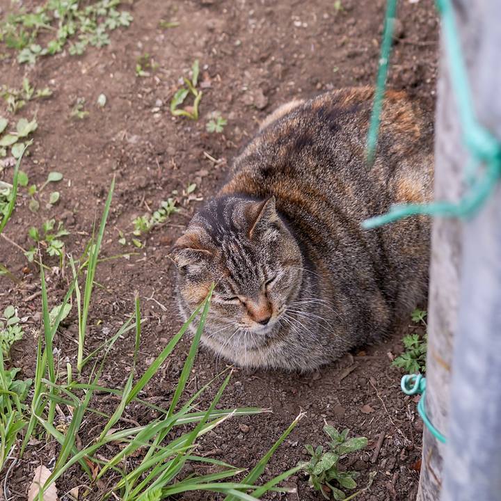 6275da0d ae6a 4901 90fd ae636b6bd3ad 1554447462679