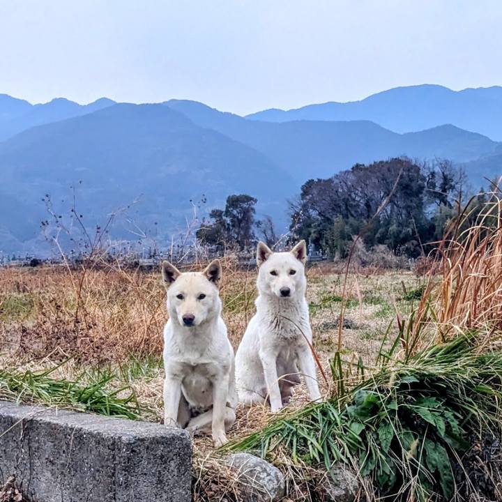 6275fc73 8626 471a 9627 af01e4f59b76 1771141127869