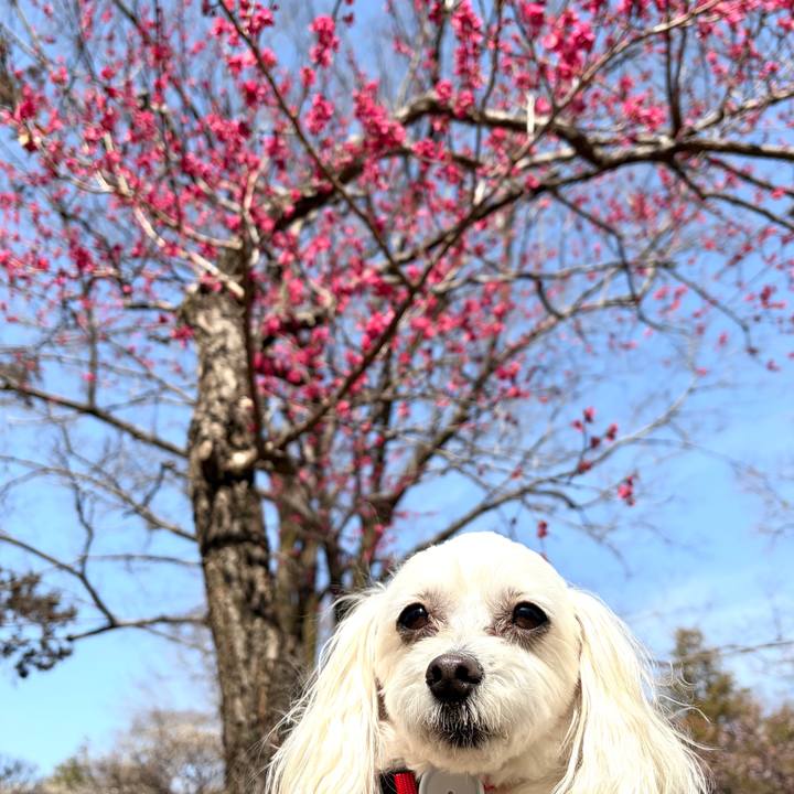 627602d8 493c 46bd ba3e 74f939242550 1772358734840