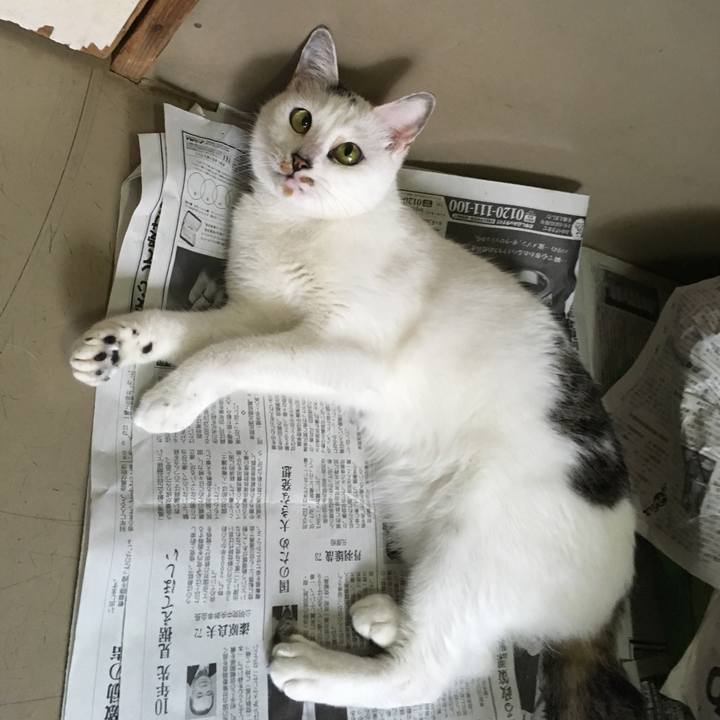 62761897 7939 47b4 a925 65f8961422e2 1510806185016