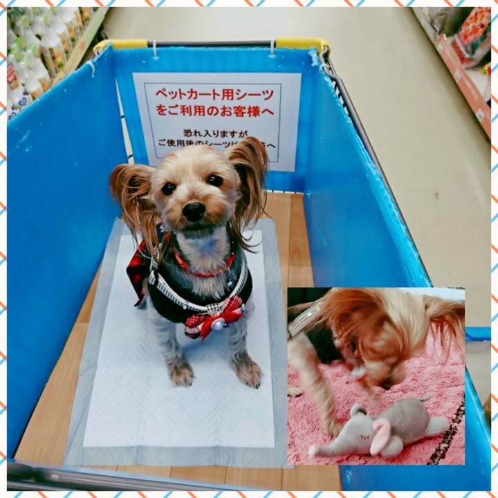 62762cda e500 4fa8 83bc f8f47fbb68a7 1554009283597