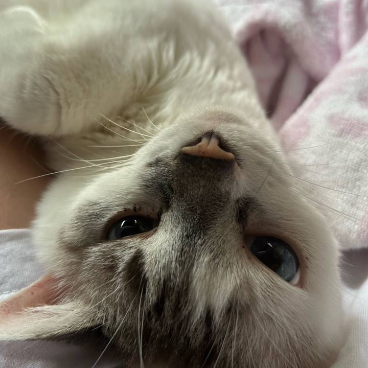 62766272 fae4 4a5c a05e 039d72d99347 1759015141842