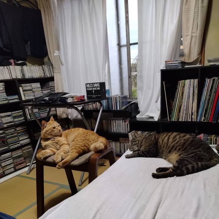 62766466 9894 40d2 ac4f c64c8a3fa7c7 1687859399274