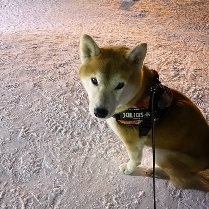 62767d9f 7bd5 42e9 ae5f 19a2c9dc7bbf 1609753461929