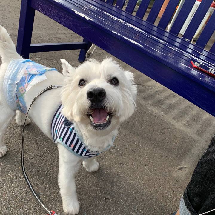 62769b3f f779 4179 bb84 e27d71c055bd 1570275707111