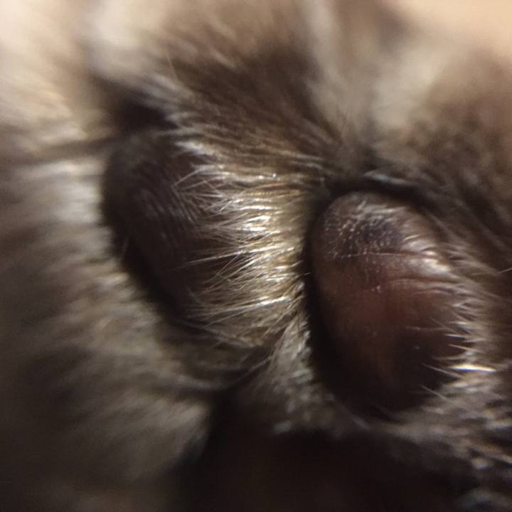 6276a9f2 8c43 4bce 992f 6dcd9ccefc26 1549720682252