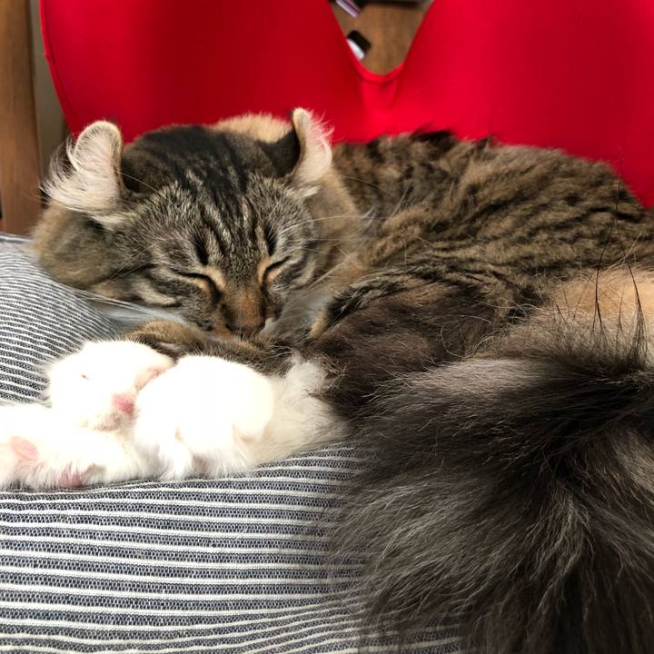 6276ba8c b431 45dd 8bf4 674476daac09 1537251381156