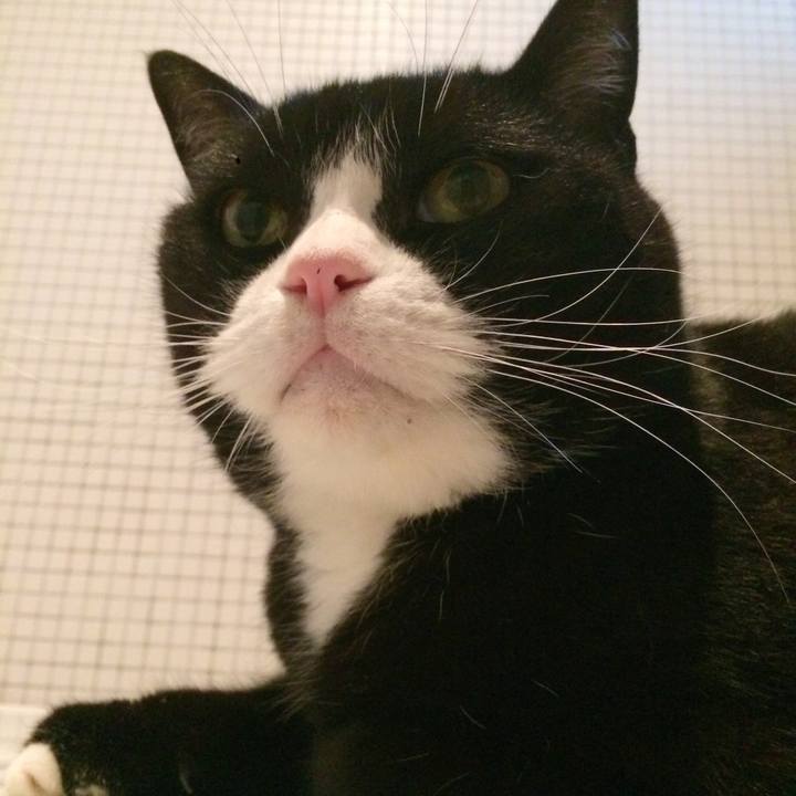 6276da18 1498 48e2 8d32 7fd00e443781 1508856644083