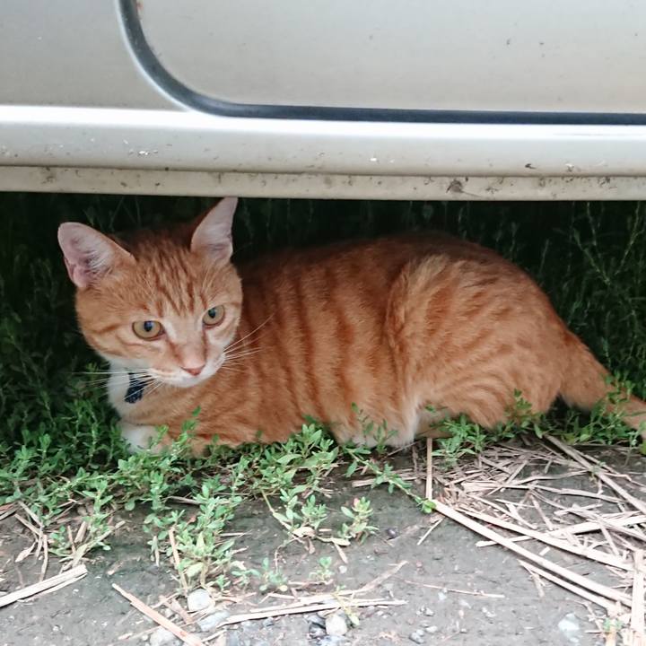 6276e94b 8ec0 4399 ab55 9b6a6f11d424 1563788417050