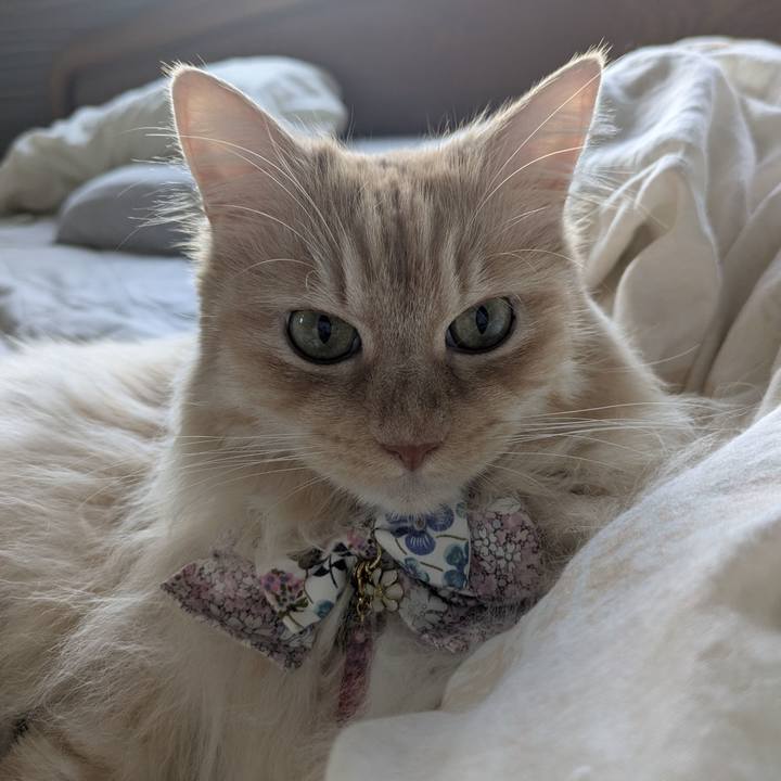 6276ff72 9ec0 4046 8fc9 3f071f9d9520 1750065550843