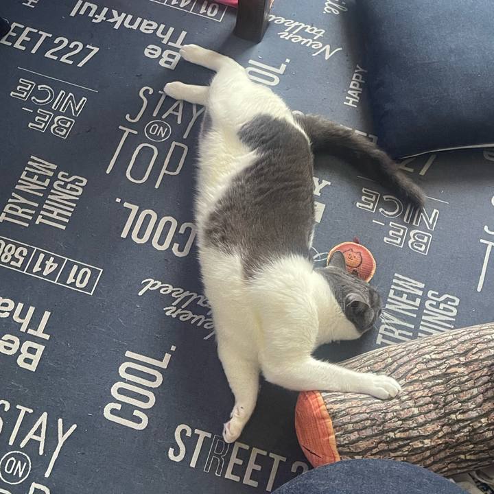 62770f7b 1133 46bb 8700 8834e3a58a15 1720044646479