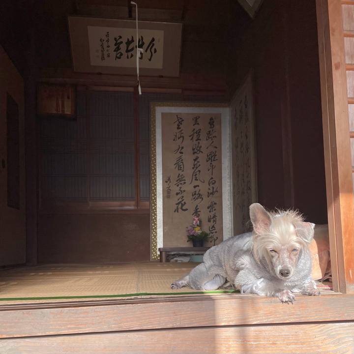 62771322 801e 4010 806b 1948eb4a0bc8 1767243252772