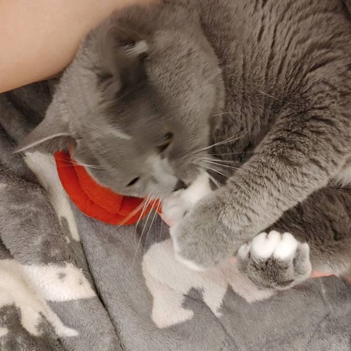 6277223d 82ae 4471 b43f cd26b63d502a 1617491404500